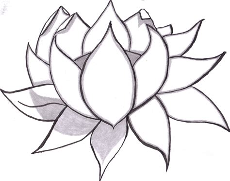 flower drawing Easy drawings of flowers free download clip art jpg - Cliparting.com