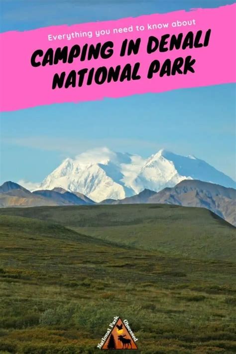 Denali National Park Camping: The Definitive Guide To Camping In Denali ...