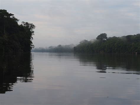 PHOTOS: The (wild)life of Tortuguero - Tiny Travelogue