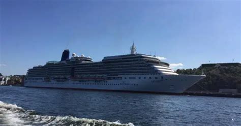 P&O Cruises · Arcadia · Ship Overview and Itineraries | CruiseDig