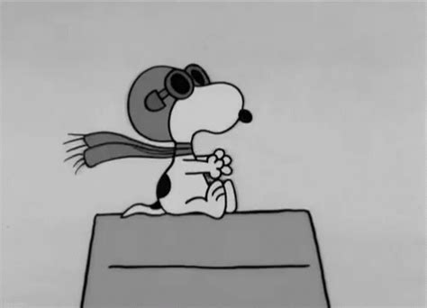 Snoopy Aviator Aviation GIF - Snoopy Aviator Aviation Flying - Discover & Share GIFs