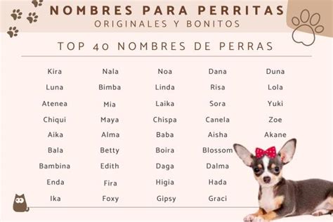 +700 Nombres para perritas originales y bonitos