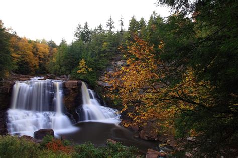 West Virginia Fall Foliage 2020: Peak Dates, Train Rides & Cabins