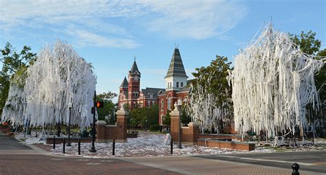 Auburn Tradition: The History of Toomer’s Corner – Garden & Gun