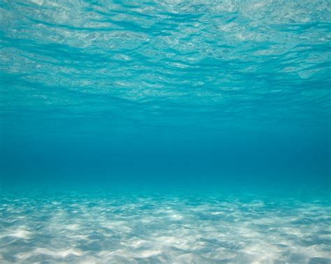 Under Ocean Wallpaper - WallpaperSafari