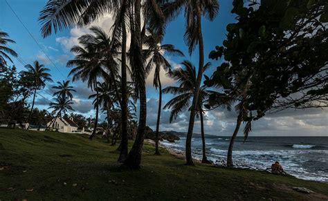 Пин от пользователя Carlson foster на доске Barbados sunset & sunrise