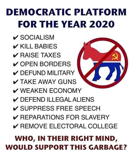 Democrat Platform For The Year 2020 | DaveSchultz.com