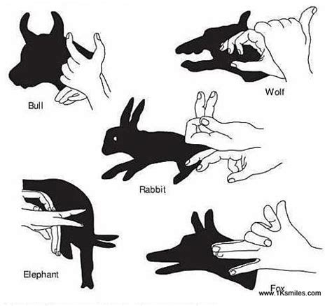 #821 Hand shadow puppets - 1K Smiles