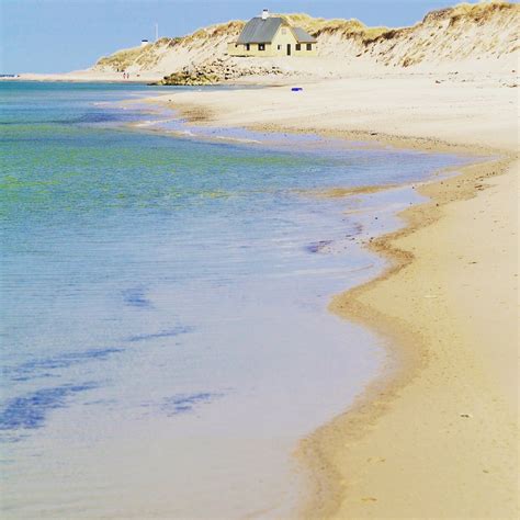 Skagen Beach, Denmark | Beautiful beaches, Beach, Outdoor