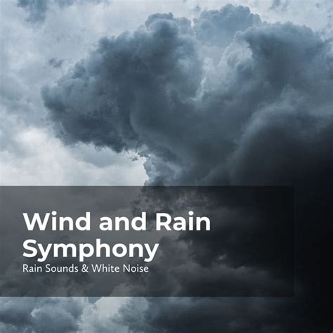 Wind and Rain Symphony, Various Composers de Rain Sounds & White Noise - Qobuz