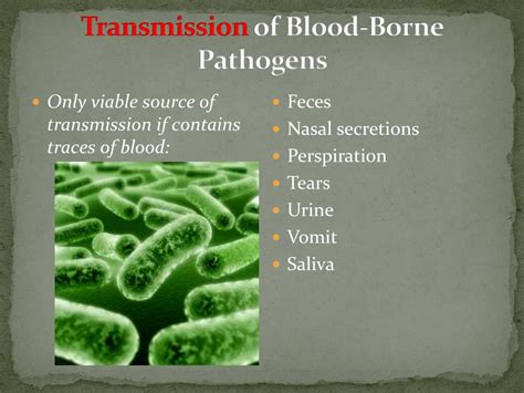 PPT - BLOOD-BORNE PATHOGENS PowerPoint Presentation, free download - ID:6405862