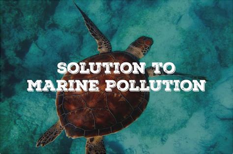 The solution to marine pollution