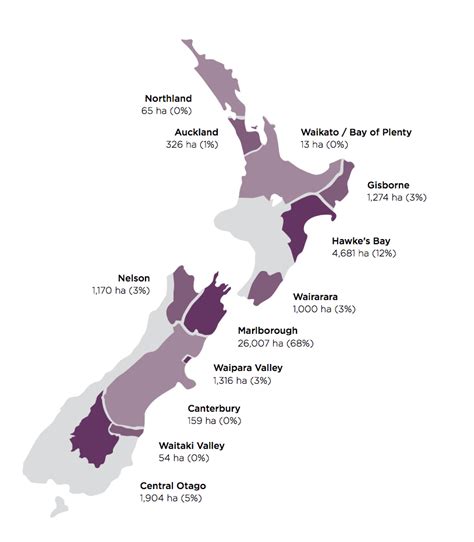 Central Otago wine region guide: Fast Facts & Terroir Essentials