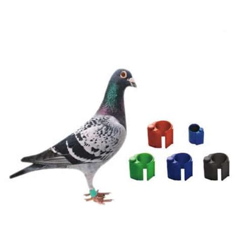 RFID Bird Ring is racing pigeon tracking devices ring