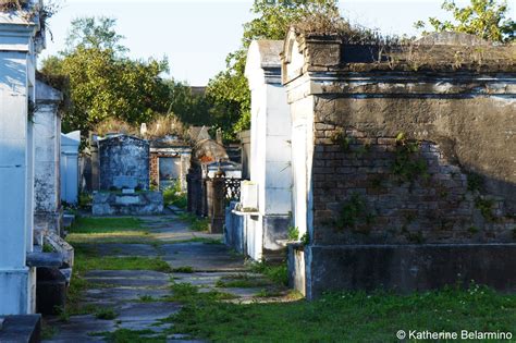 Spooky New Orleans: Cemetery Tours | Travel the World