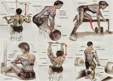 The Fitness Era: Back Workout!