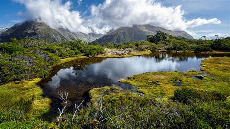 12 Best Day Hikes in South Island, New Zealand - Voyageur Tripper