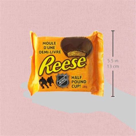 Reese Peanut Butter Cup, Half Pound, 226g/7.97oz {Imported from Canada ...