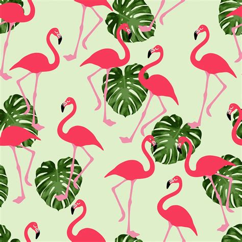 Pink Flamingo Wallpapers - 4k, HD Pink Flamingo Backgrounds on WallpaperBat