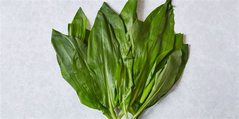 Wild Garlic Recipes - Great British Chefs