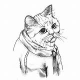 Kit Kat Coloring Page Pages sketch template