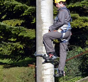 Plemont - Pole Climbers and Tree Climbing Gear