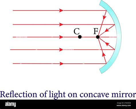 La réflexion des miroirs convexes et concaves, réflexion et miroirs sphériques, Optics.Vector ...