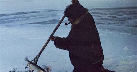 health nutrition - The inuit People