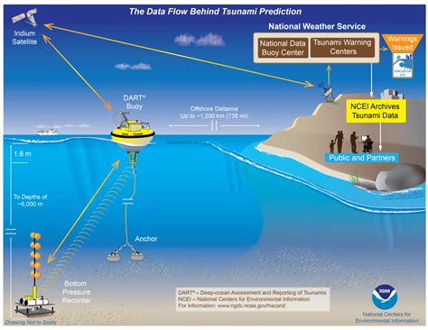 Buoy Data Help Tsunami Preparedness | News | National Centers for ...