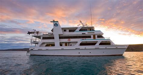 Cairns Boat Tours | Everything Cairns