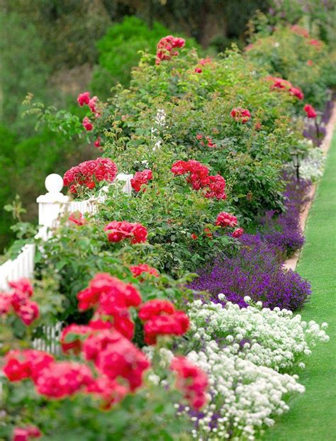 23 Most Beautiful Blue Rose Garden Ideas To Consider | SharonSable