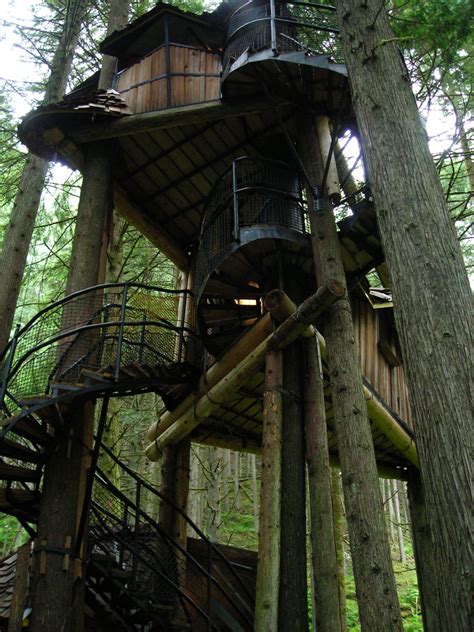 Pictures of Tree Houses and Play Houses From Around The World, Plans And Build Tips, Guides ...