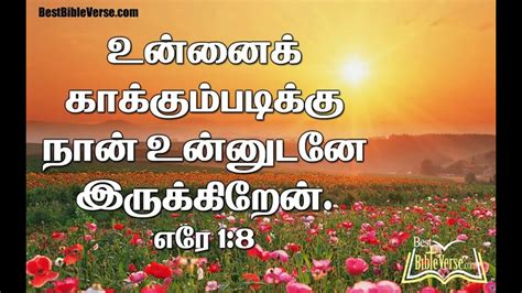 Bible in tamil vasanam - apigasw