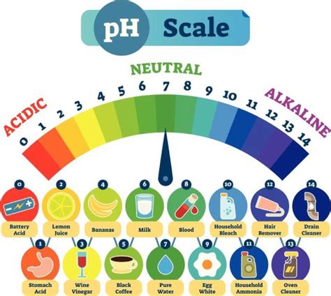 What is Total Alkalinity in Pools | pH vs Alkalinity