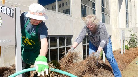 Master Gardener training begins in February