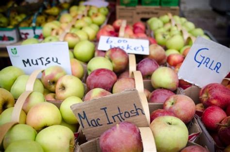 BRAMPTON FARMERS MARKET - Updated October 2024 - 11 Photos - Gage Park ...