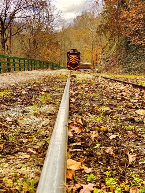 Take This Exciting Fall Foliage Train Ride In North Carolina