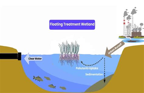 Online Seminar: Trends in Environmental Biotechnology - MaREI