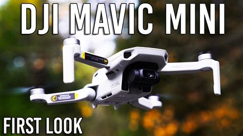 DJI Mavic Mini Drone - Specs & Footage | First Look - YouTube