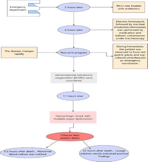 Frontiers | A 26-year-old man with multiple organ failure caused by ...