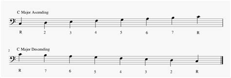 C Major Scale Bass Clef