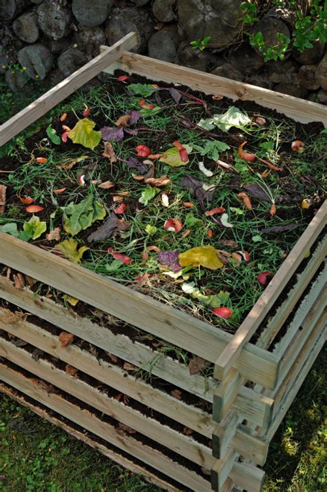 Composting with Chickens: How your flock can help dispose of waste and make great soil ...