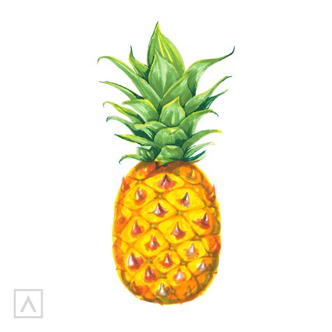 8 Simple Steps For a Pineapple Drawing | ARTEZA