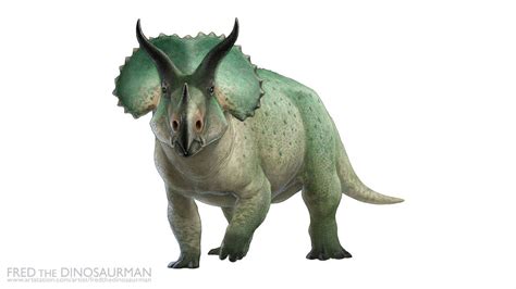 Commission: Triceratops by FredtheDinosaurman on DeviantArt | Dinosaur images, Ancient animals ...