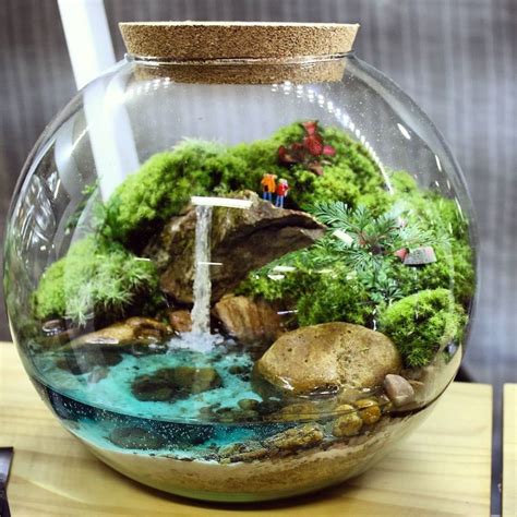 Terra Jardim on Instagram Follow So Super Awesome... | Mini Terrarium, Terrarium Cactus ...