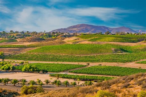 Temecula Valley Weekend Itinerary: Where To Stay, Wineries & More