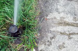 Has Your Lawn Sprinkler System Sprung a Leak? | TriState Water Works