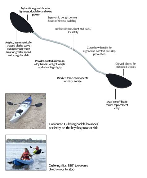 Gullwing Paddles - first ergonomic kayak paddles