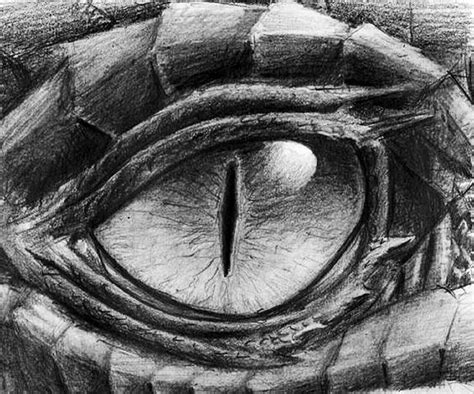 Pin by Savannah Rostetter on drawing | Dragon eye drawing, Dragon sketch, Dragon drawing