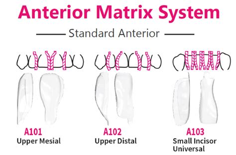 BIOCLEAR Anterior Matrix systems - BiBODENT Company